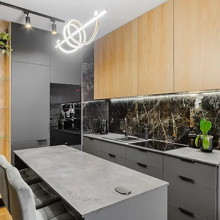 Accessible In Od Apartment Lodz